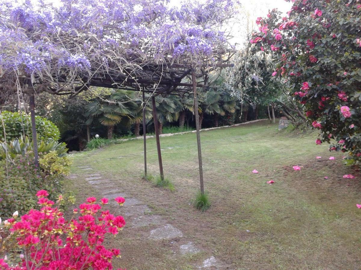 Swanlake Rooms Nebbiuno Εξωτερικό φωτογραφία
