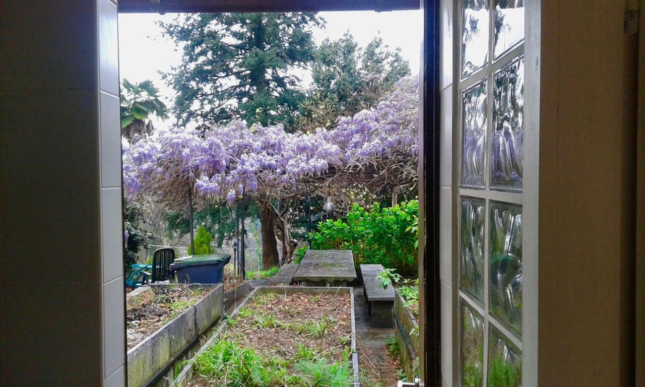 Swanlake Rooms Nebbiuno Εξωτερικό φωτογραφία